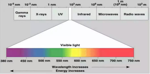 簡單來說| X-ray到底是什么？